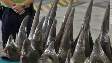 S Africa Rhino Horn Trade