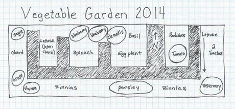 Vegetable Garden Layout, 2014