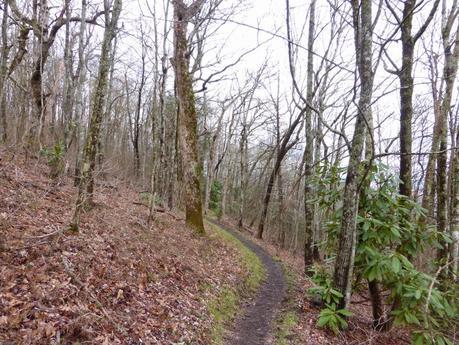 Day 9: Whew, Close One!