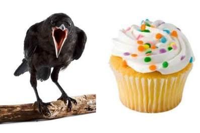 crow cupcake