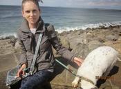 Strandhill April 2014