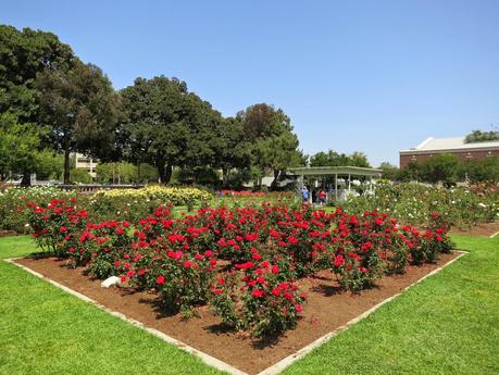 Easter Travels: California Science Center