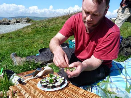 Things I learned from foraging with Galloway Wild Food