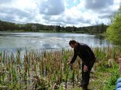 Things Learned from Foraging with Galloway Wild Food