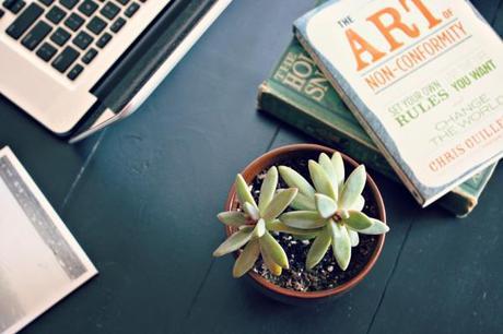 Succulent-brown-pot-planter-trader-joes-flowers-plants-indoor-garden-gardening-house-soil-desk-table-work-cute-books-decor-arrangement-starfish-beach-laptop