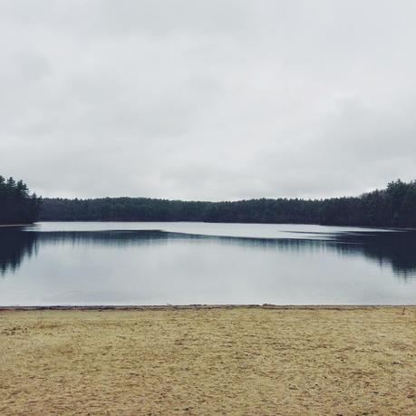 Wilder Pictures: Early Spring at Walden Pond on a Rainy Day