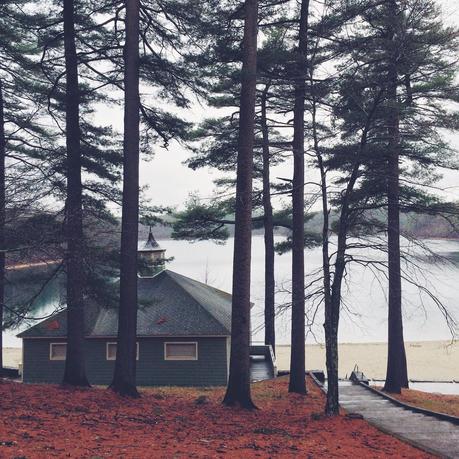 Wilder Pictures: Early Spring at Walden Pond on a Rainy Day