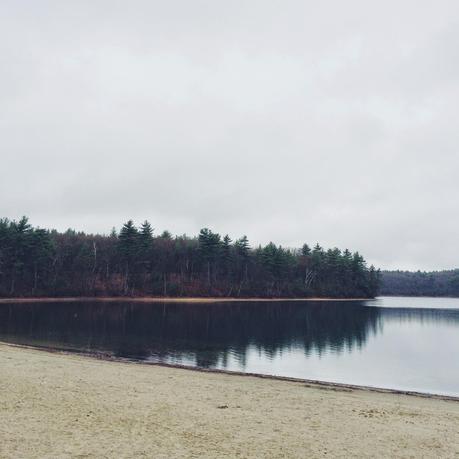 Wilder Pictures: Early Spring at Walden Pond on a Rainy Day