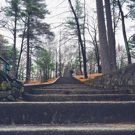 Wilder Pictures: Early Spring at Walden Pond on a Rainy Day