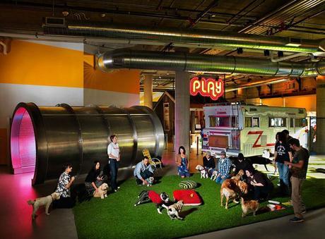 The Coolest Offices In The World