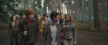 Leaving Hogwarts and the Order of the Phoenix