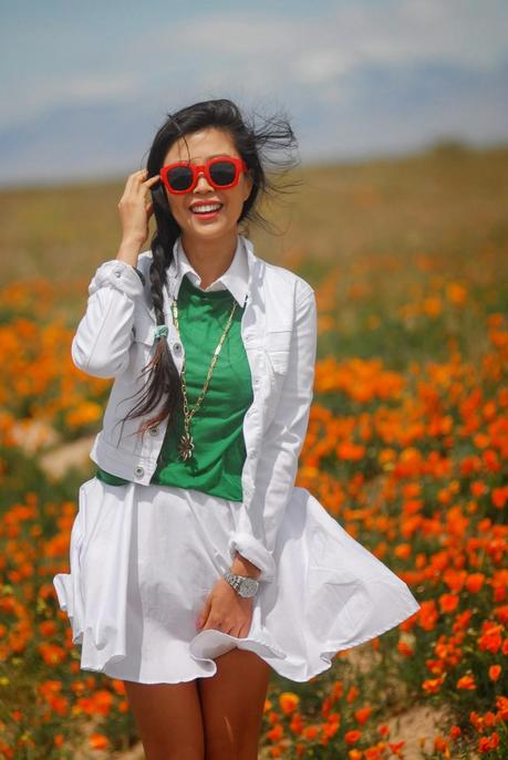 {GBF What I Wore on Sunday Fun Day} Poppy Love