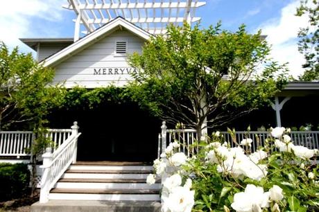 MERRYVALE Winery