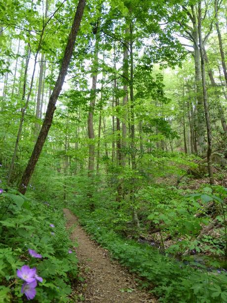 Day 12: Calm Before The Storm