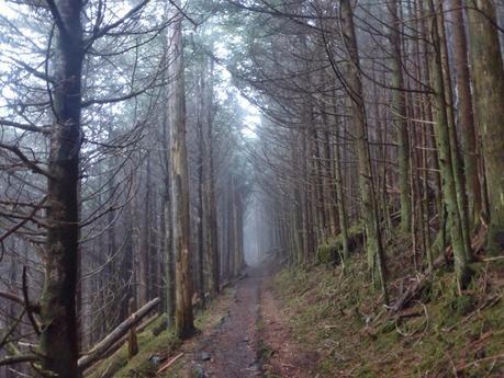 Day 12: Calm Before The Storm