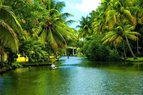 Top Backwater Destinations in Kerala to Rejuvenate Yourself