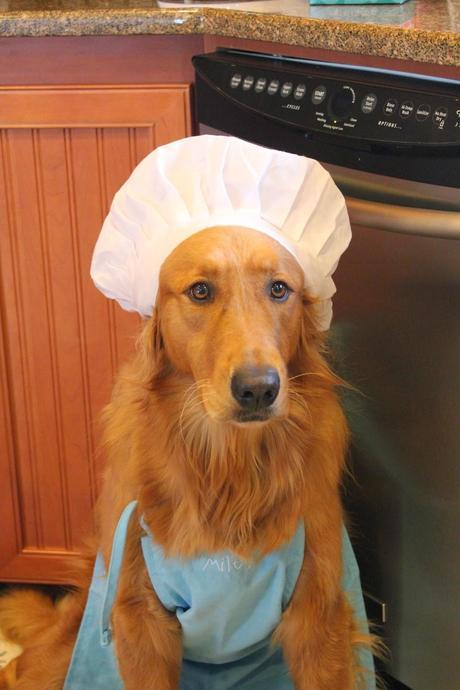 Banana Oat Squirrels