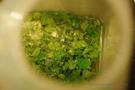 nettles submerged in container of water