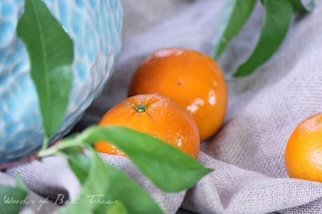 mandarin oranges peach leaves