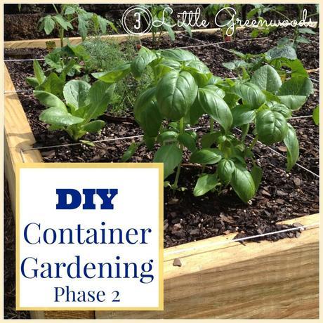 DIY Container Garden: Planning & Planting {3littlegreenwoods.com}