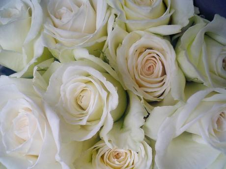 White Roses