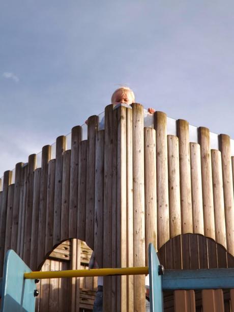 Life Lately.... Life Lately....