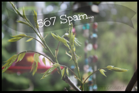 567 Spam