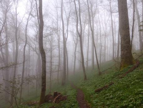 Day 14: A Bit Of Everything