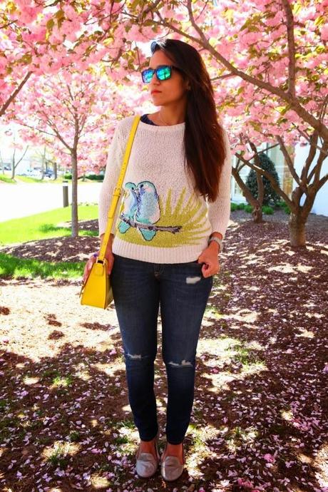 C.Wonder Sweater, GAP Jeans & Flats, Kate Spade Bag, Cherry Blossoms, Tanvii.com