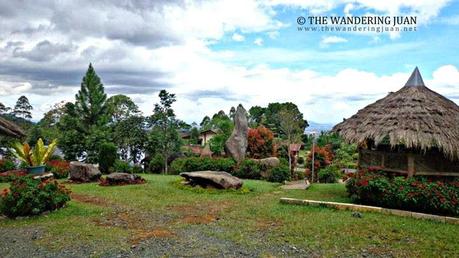 How I Learned to Fly in Bukidnon