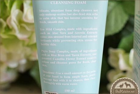 Skin79 Smart Clear Refresh Cleansing Foam Review