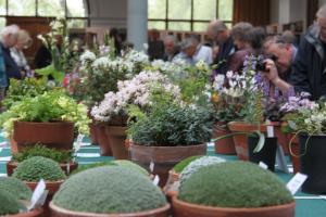 One of the Alpine Exhibitors Benches