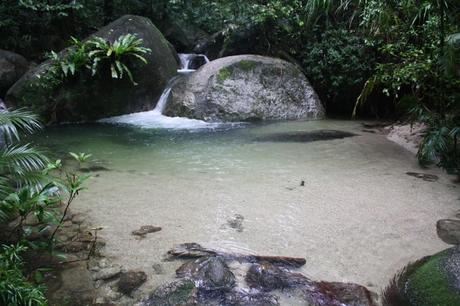 mossman gorge rainforest walk creek