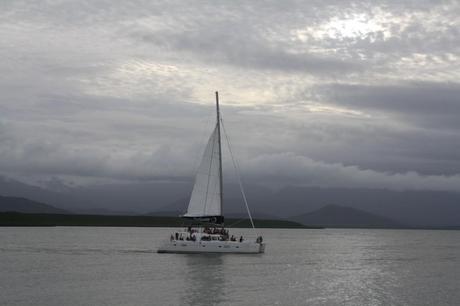 wags free wednesday sunset sail port douglas yacht club