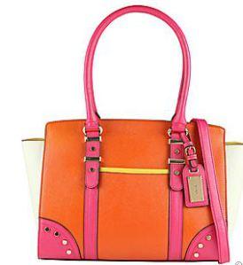 Casalserugo colorblock purse (ALDO). 