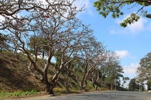 Calaruega, Batangas