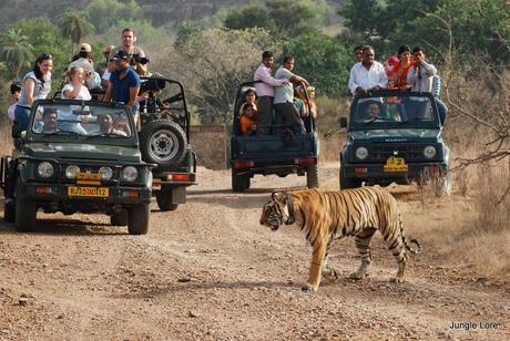 Why Rajasthan is on the Travel List of Holidaymakers?