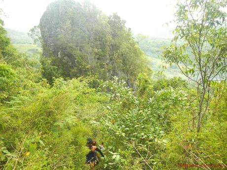 Puting Bato Limestone Monolith