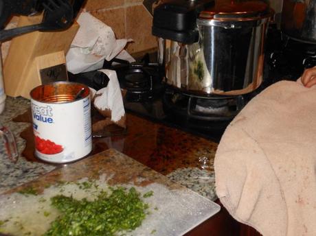 Here's a picture I had my son take to capture this lovely moment.  Please keep in mind that this picture does not even begin the capture the horror I was feeling in the moment.  The liquid was seeping across the stove and the counters, pouring onto the floor, spewing all over me.  As it seeped across the stove, the liquid was going into the area under the control knobs.  It was not a fun moment.  