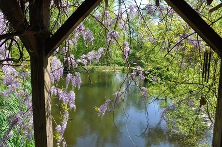 At the Pond