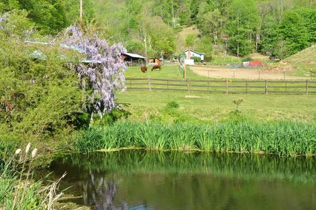 At the Pond