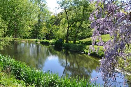 At the Pond