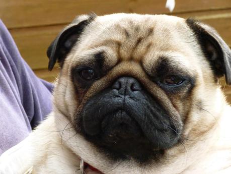 When Your Husband Loves Another .....