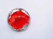 REVIEW Canmake Cream Cheek CL03