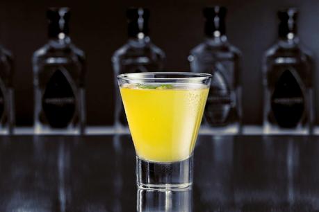 A Fiesta Con o Sin Limes!: Cinco de Mayo Cocktails Recipes