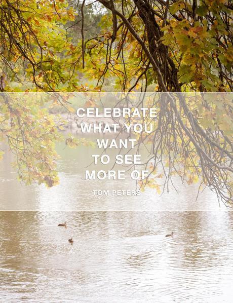 “Celebrate what you want to see more of.” – Tom Peters