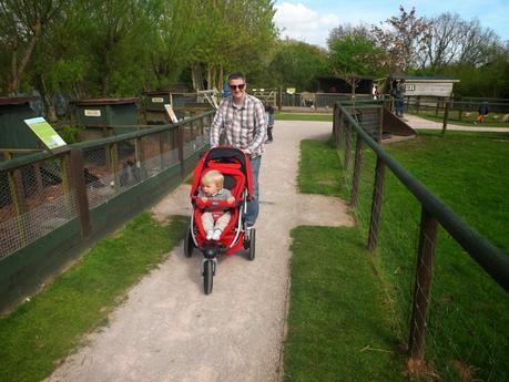 Bank Holiday Weekend: Our Day Out With Thomas...