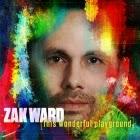 Zak Ward: This Wonderful Playground