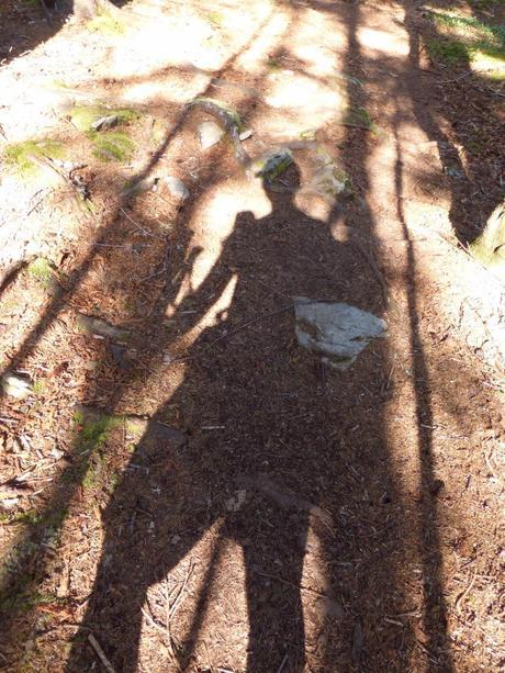 Day 18: An Enjoyable Uphill Day