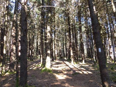Day 18: An Enjoyable Uphill Day